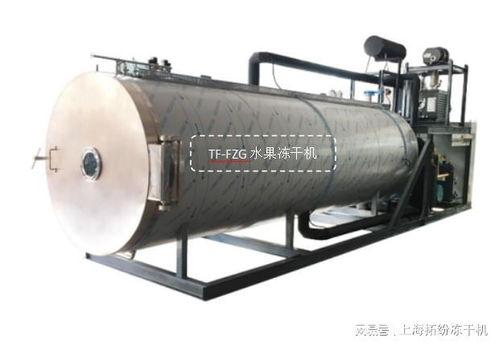 光學科技助力水果凍干機生產線在貴州投產使用