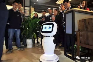養老頭條 | 中國保險報 稅延養老保險需關注四個關鍵問題——計算機系統集成服務視角下的深度解析